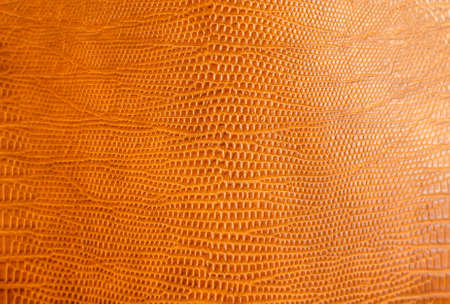 Crocodile alligator reptile leather brown texture close up.