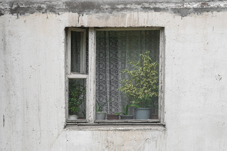 White wooden window on the facade of an old shabby Soviet concrete house with houseplants inside,...