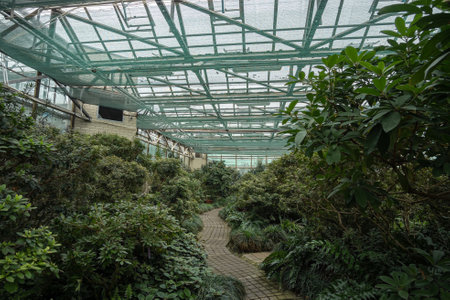 The interior of the tropical greenhouse of the botanical garden. Botanical garden named after Hryshka, Kyiv, Ukraine - September, 2022.のeditorial素材