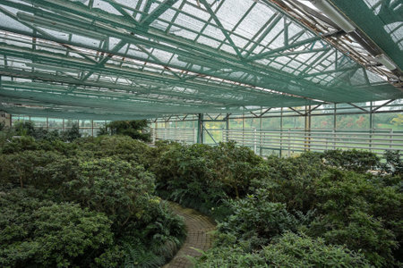 The interior of the tropical plants greenhouse of the botanical garden. Botanical garden named after Hryshka, Kyiv, Ukraine - September, 2022.のeditorial素材