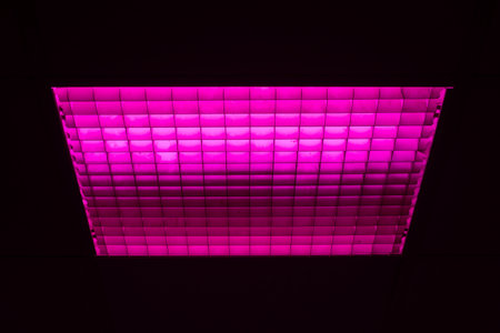 Lampshade with fluorescent neon pink fito lamp on the ceiling.の写真素材
