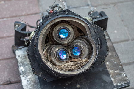 Optical sensors of the digitized scene-mapping area correlator of the strategic cruise missile. Part...