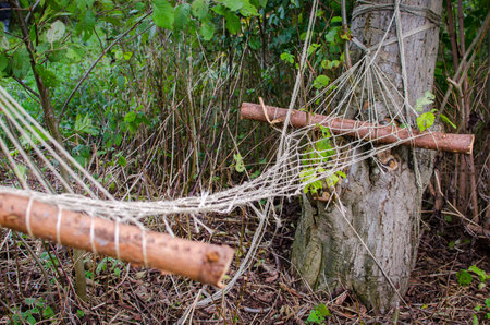 Abandoned hammock made of natural wood found in the forest の写真素材