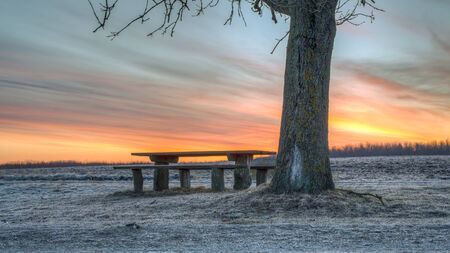 A table, bench and tree stands against the colorful sky created by the sun which just started rising の写真素材