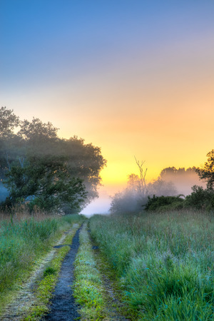It is dawn and the sun is just about ro rise, casting vivid colors on the morning fog の写真素材