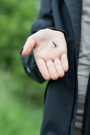 A child is holding a trustful tiny butterfly の写真素材