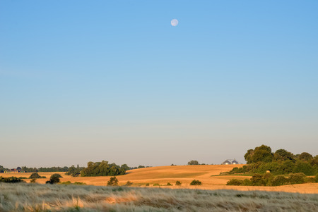 General view over agricultural fields during sunrise  The moon is still clearly visible の写真素材