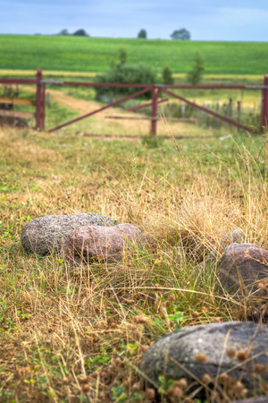 Stones lying in the grass close by a gate to a meadow の写真素材