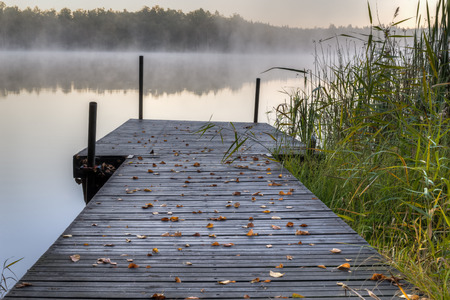 Wooden pier with leafsの写真素材