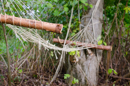 Abandoned and ruined hammock in the forestの写真素材