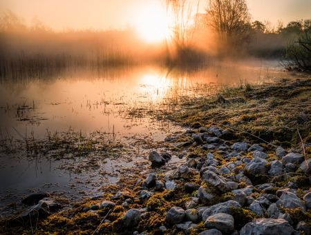 Stones before the water of a swamp with the rising sun in the backgroundの写真素材