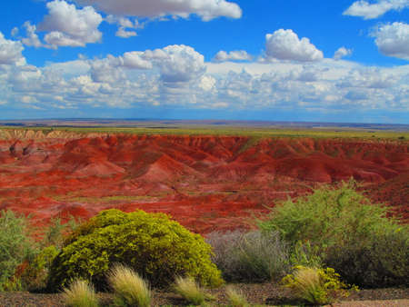 Sureal Petrified Forest,Arizona,Usa,の写真素材