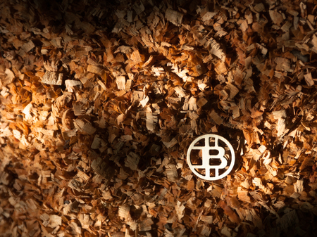 Wooden bit coin on wood chips right side
