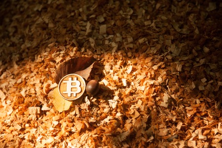 Wooden bit coin on wood chips and leafs leftの写真素材