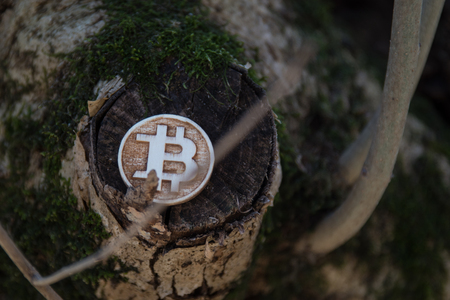 Made from wood custom bit coin in natureの写真素材