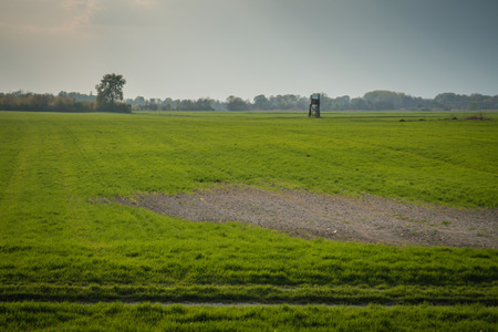 Hunting observation in green field, background agrocultureの写真素材