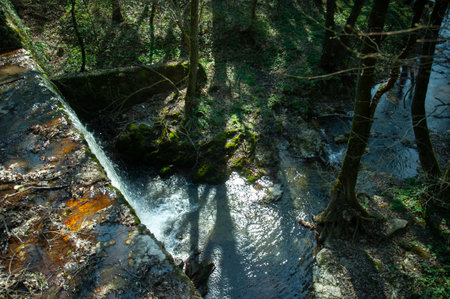 A waterfall in a nature park photographed in early spring with clear water and greenery.の写真素材