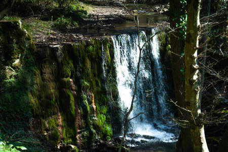 A waterfall in a nature park photographed in early spring with clear water and greenery.の写真素材