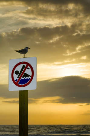 sign with a seagull perched on topの写真素材