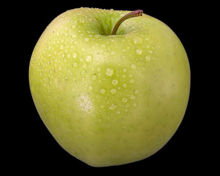 Ripe green apple with water droplets on a black background