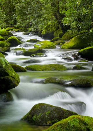 Silky water cascading over bright green moss-covered boulders in a Tennessee stream