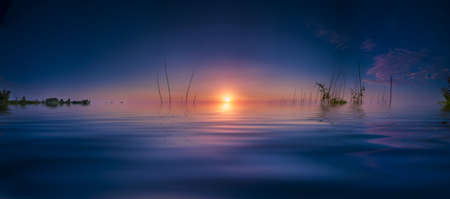 Panoramic view of a summer sunrise on an urban lakeの写真素材