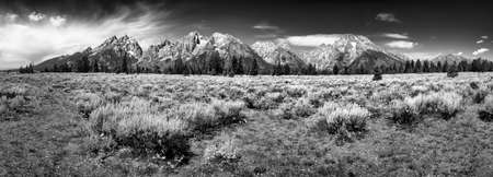 Late summer morning panorama of the Teton peaks in Wyomingの写真素材