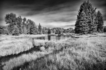 Summer morning view of the Snake River at Schwabacher Landing in Grand Teton National Park, WYの写真素材