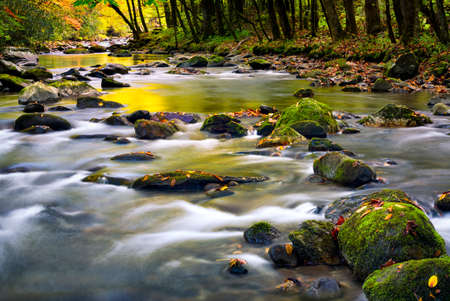 Mountain stream in Great Smoky Mountain National Park with fall colors on display