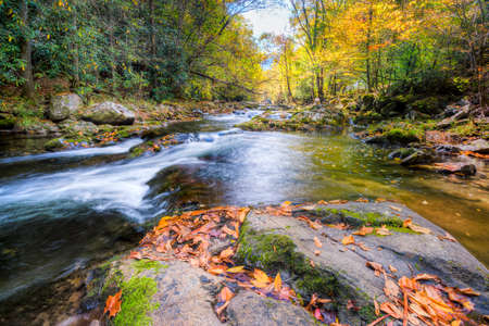 Mountain stream in Great Smoky Mountains National Park with fall colors on display