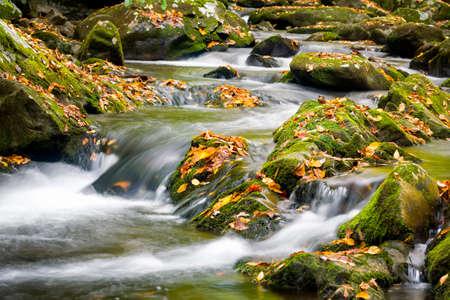 Mountain stream in Great Smoky Mountain National Park with fall colors on displayの写真素材