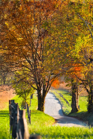 Late afternoon on a quiet country road in Cade's Cove, Great Smoky Mountains National Park