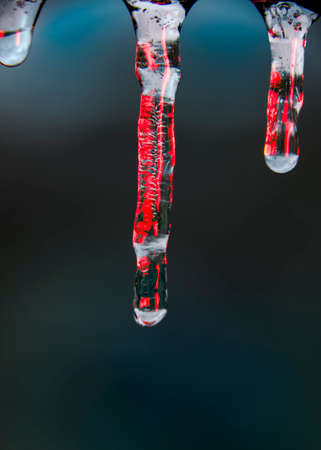 Close up view of icicles with internal red reflections on a cool bluish の写真素材
