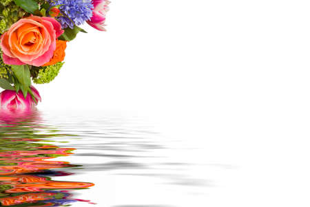 Multicolored Flower Arrangement Reflected Over a White Backgroundの写真素材