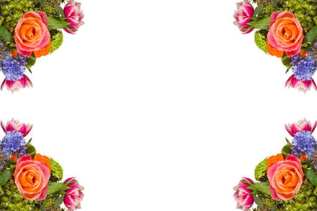 Multicolored arrangements of flowers isolated on the corners of a white backgroundの写真素材