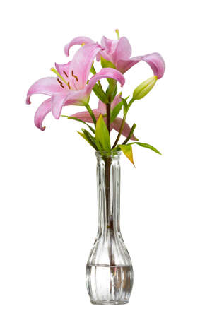 Pink day lily in a vase isolated on a white backgroundの写真素材