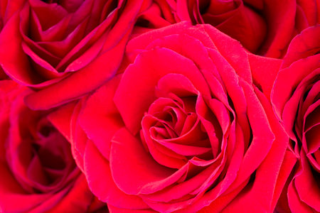 Close up view of a bouquet of fresh red rosesの写真素材
