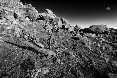 Late afternoon sun washing over the Red Rocks area in Northern New Mexicoの写真素材