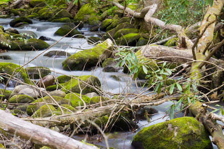 Silky stream captured in the Smoky Mountains during springtimeの写真素材