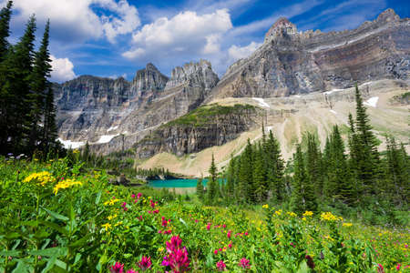 A variety of wildflowers in a meadow overlooking a glacial pond in northern Montanaの写真素材