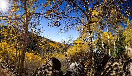 Panoramic view of the Santa Fe Ski Basin featuring vivid fall foliageの写真素材