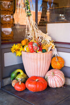 Colorful, festive holiday display of assorted pumpkins, gourds, and squashesの写真素材