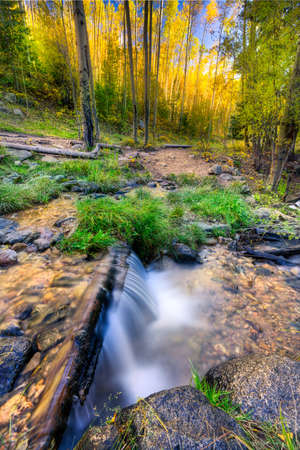 Mountain stream in the autumn aspen forest of New Mexicoの写真素材
