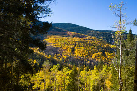 Beautiful fall colors in the mountains of the Santa Fe Ski Basinの写真素材