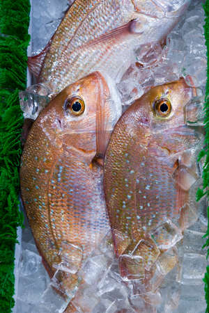 Fresh whole fish on display in a Vancouver, BC marketの写真素材