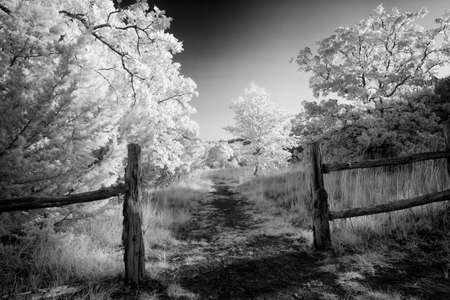 Rural Texas fenced in pasture and fenceの写真素材