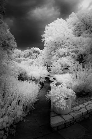 Botanic Garden Under an Ominus Texas Skyの写真素材