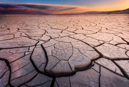Cracked Mud Flats Bathed in Dawn Lightの写真素材
