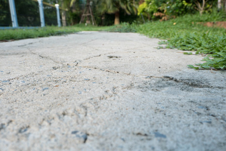 Weeds growing through an old stone path.の写真素材