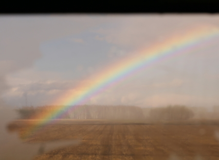 misted window, rainbow, nature, field, forest, grove, after rainの写真素材
